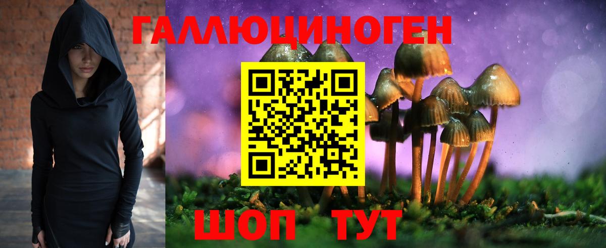 Галлюциногенные грибы GOLDEN TEACHER Скопин